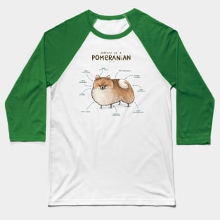 Anatomy of a Pomeranian Baseball T-Shirt